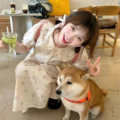 塞车奇事